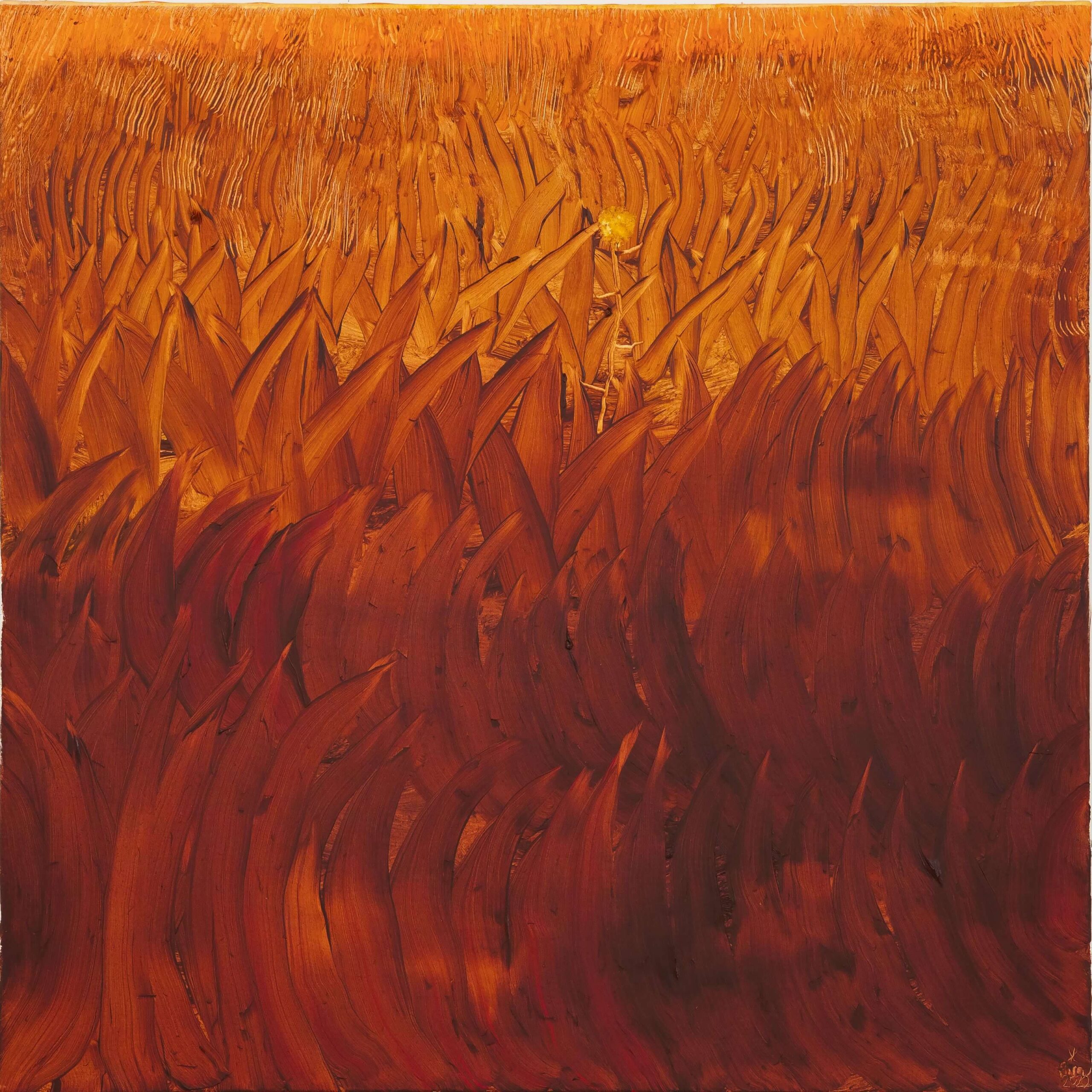 gialli (1)