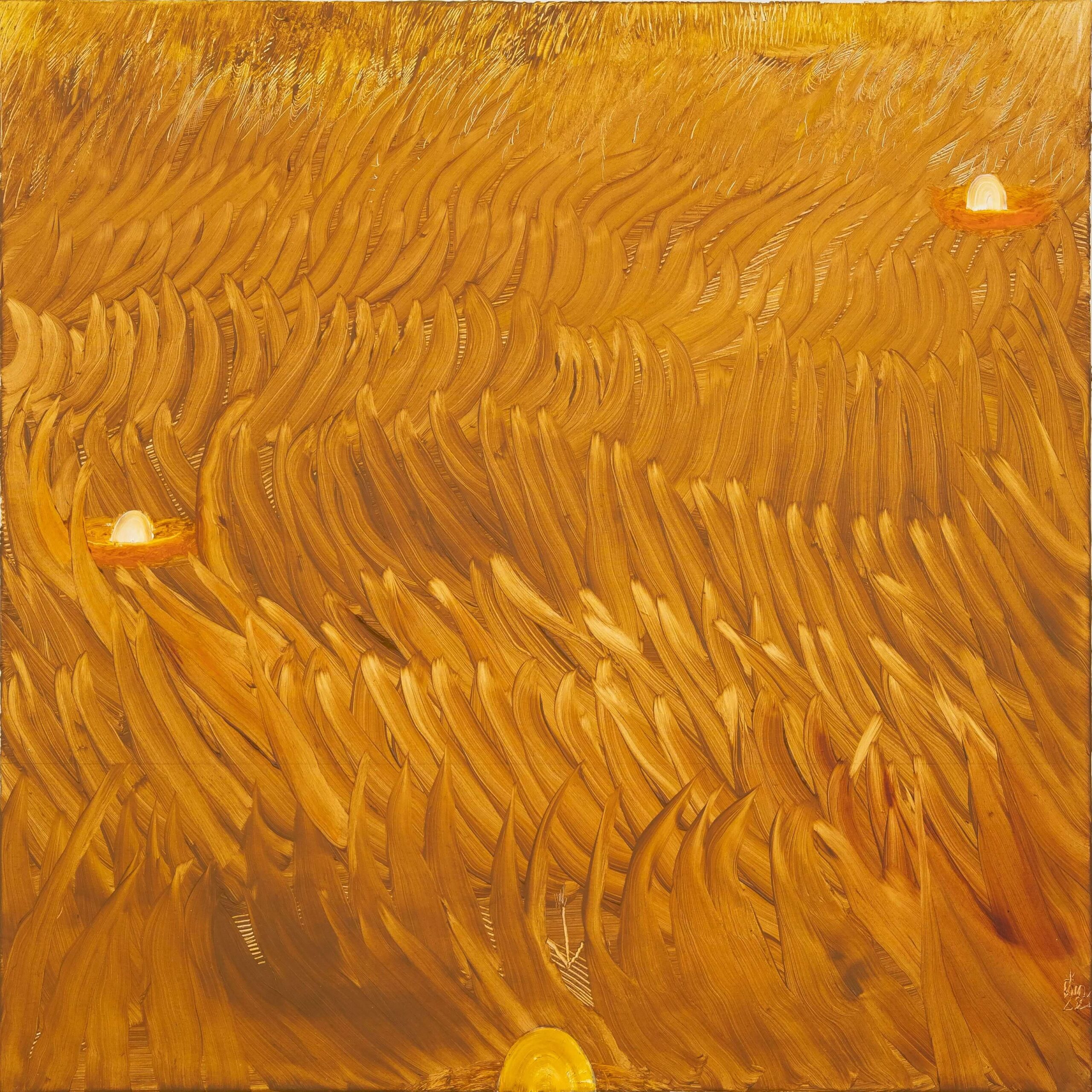 gialli (3)