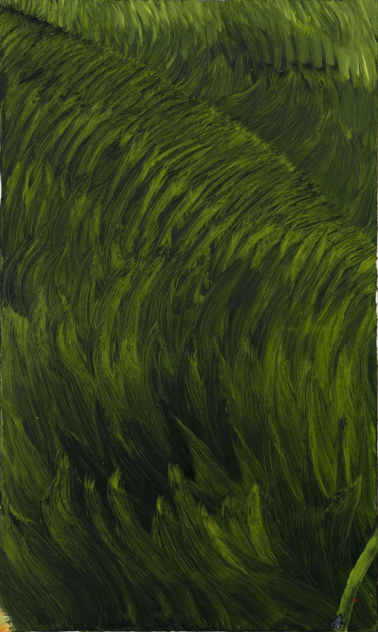verde (1)